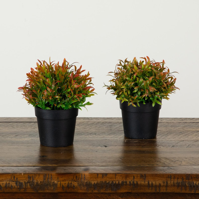 6 po Herbe artificielle en pot noir - ensemble de 2, Assortment 2