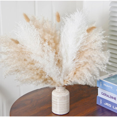 17'' Pampas Grass Grass