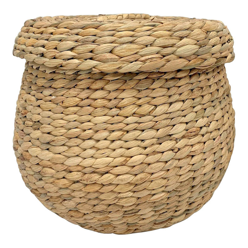 Beachcrest Home Sarina Water Hyacinth Decorative Basket