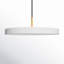 Ivan Single Light Metal Dimmable LED Pendant-215779353