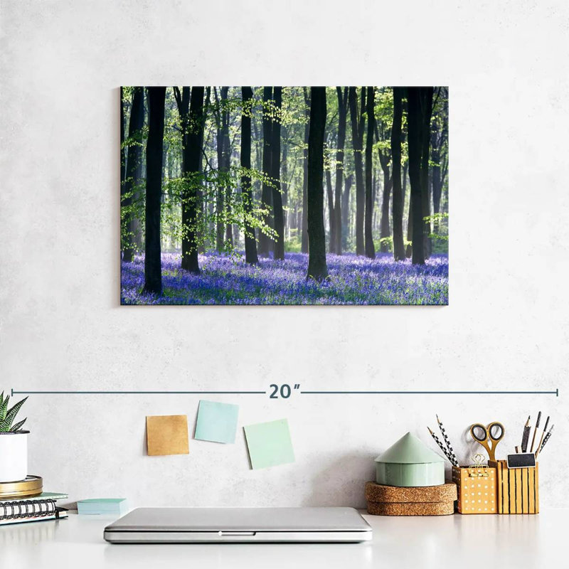 Bluebell Vision, 8" H x 12" W