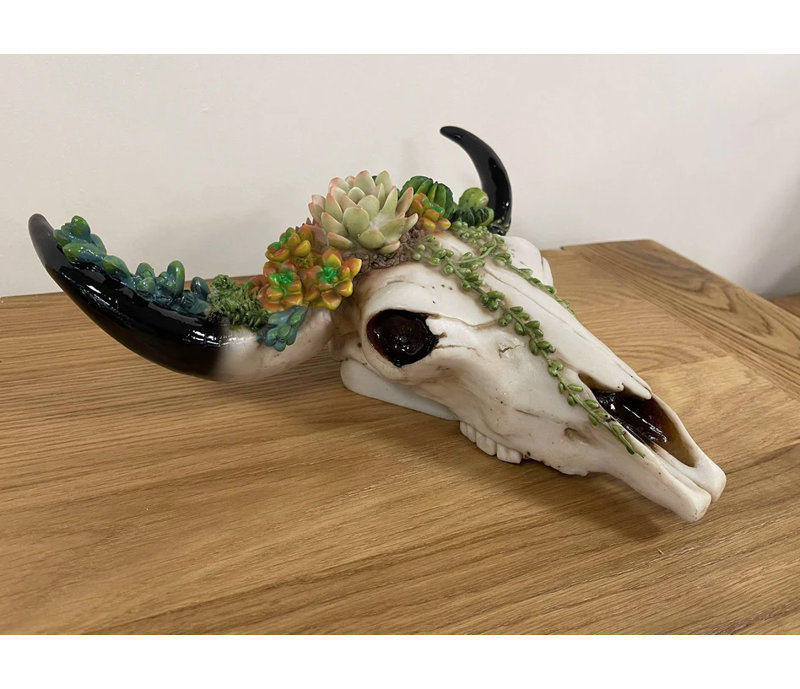 Animals Bust, 29cm H x 30cm W x 11cm D