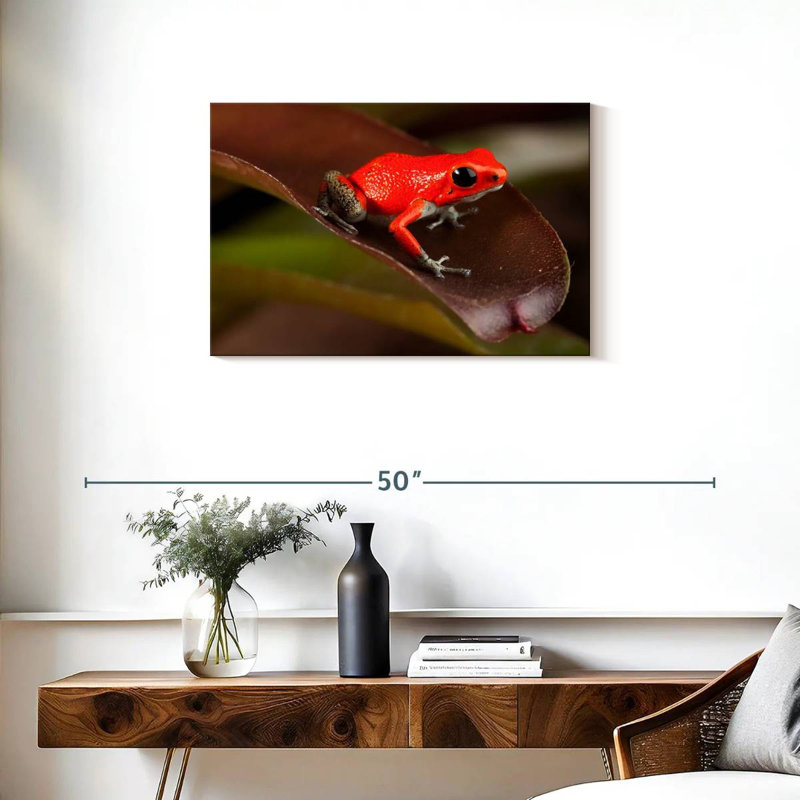 Crowle Poison Frog, 20" H x 30" W