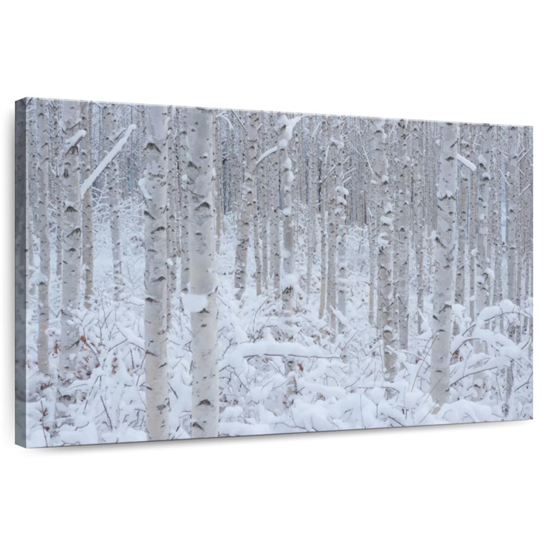 Alvord White I, 8" H x 12" W