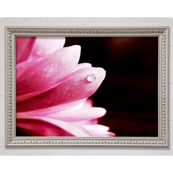 Ebern Designs Single Picture Frame Print | Wayfair.co.uk