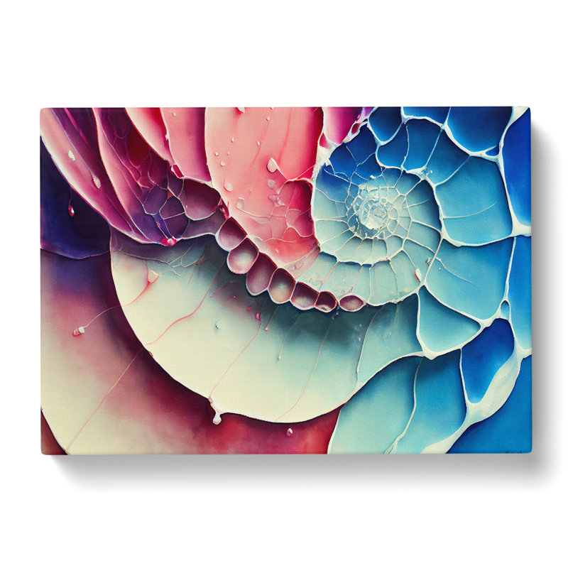 Seashell Art Vol.1 Abstract - Wrapped Canvas Print, 35cm H x 50cm W x 3cm D