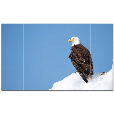 Photo d'oiseau 4,25 x 4,25