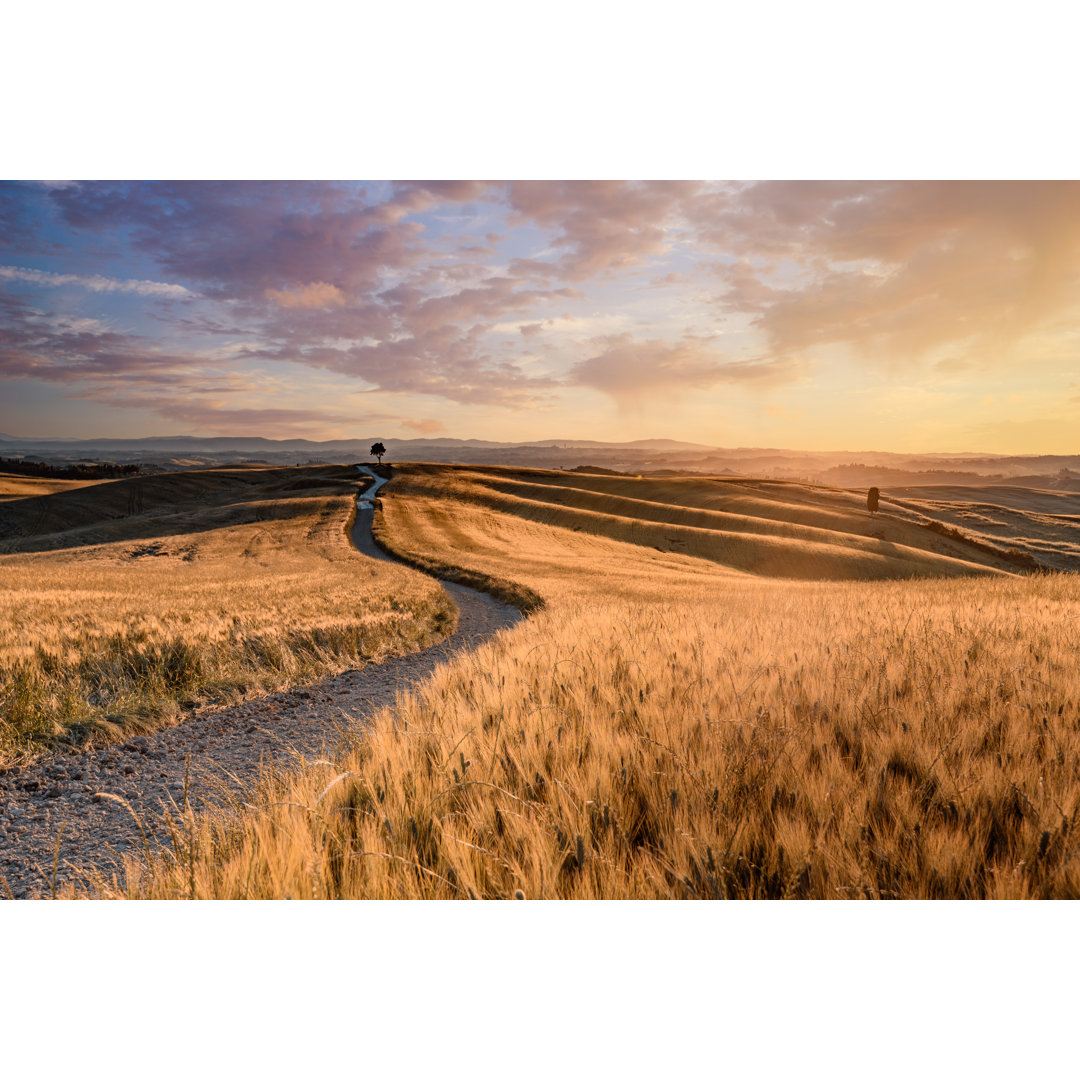 Toskana Landschaft bei Sonnenuntergang von Gehringj - Kunstdrucke auf Leinwand