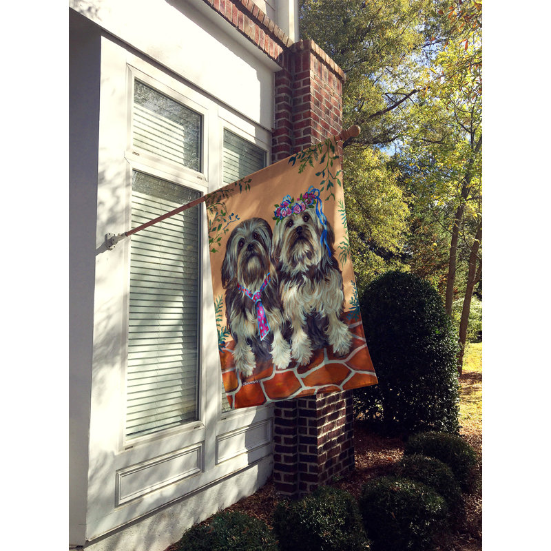 Drapeau de maison Hvidovre Sheltie Halloween en polyester à 2 faces 3 x 2 pi, Petit chien lion