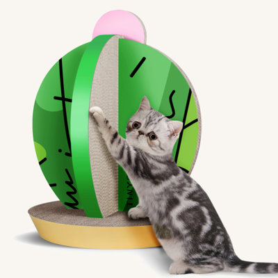 Grattoir en forme de chat, planche à gratter en forme de cactus