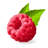 " Raspberry With A Leave " by Sashatigar-1286300277