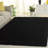 Angeliya Shag Performance Solid Color Rug-219807661
