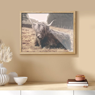 «Vache rétro Shetland, vache, bovins, animaux de la ferme» sur papier