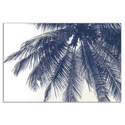 Coconut Tree - Wrapped Canvas Print