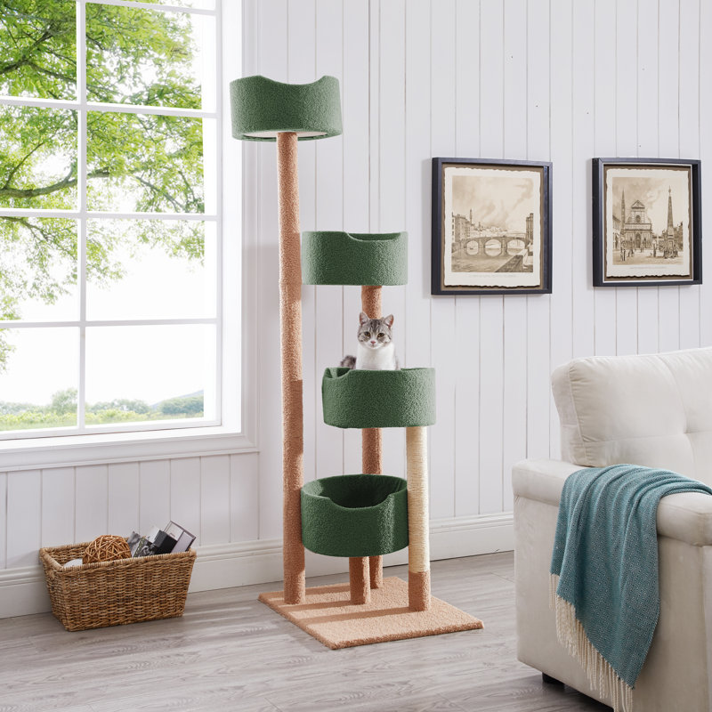 Arbre à chat 65 po Tottenham Cleo, Vert