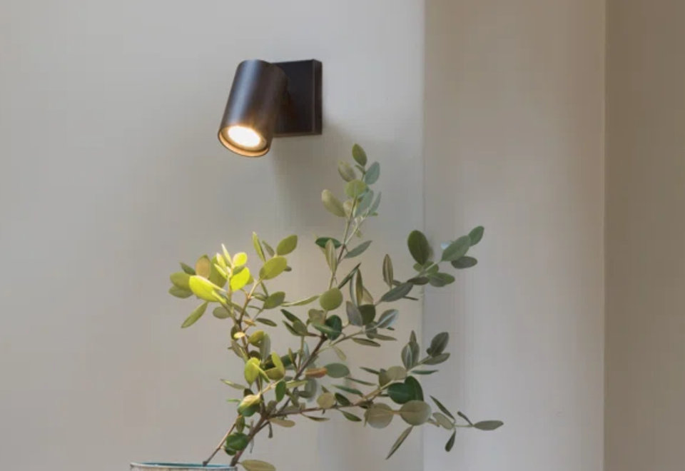 Flush Mount Lighting