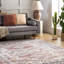 Southwestern Area Rug-1711684177