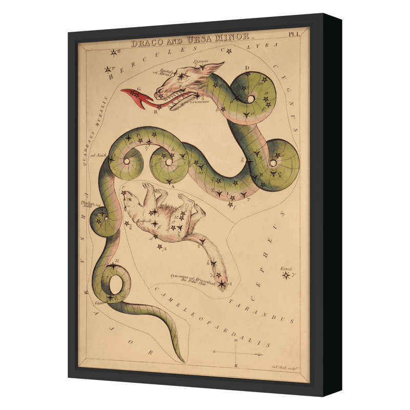 Draco Print by Grand Archives, Black Framed, 32" H x 23" W