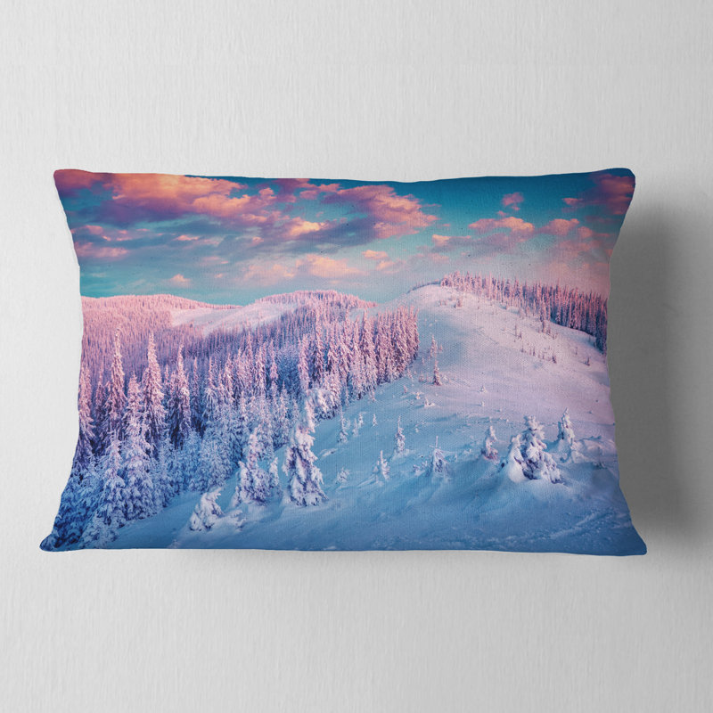 Coussin Schafer