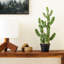 31'' Faux Succulent in Pot