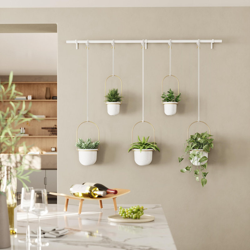 Triflora Adjustable White/Brass Indoor/Outdoor Hanging Planter