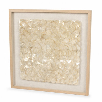 Solenne Framed Layered Shell Shadow Box Wall Décor
