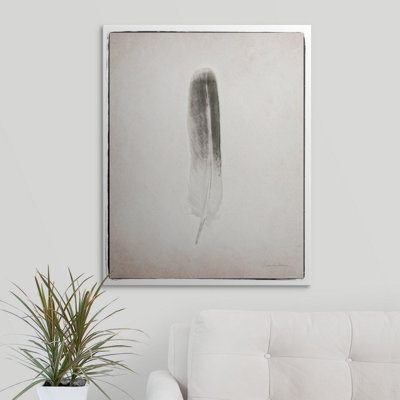 Black And White Feather " Feather II Black And White " by Debra Van Swearingen