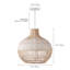 Carolus Dome Pendant Light, 1 Light