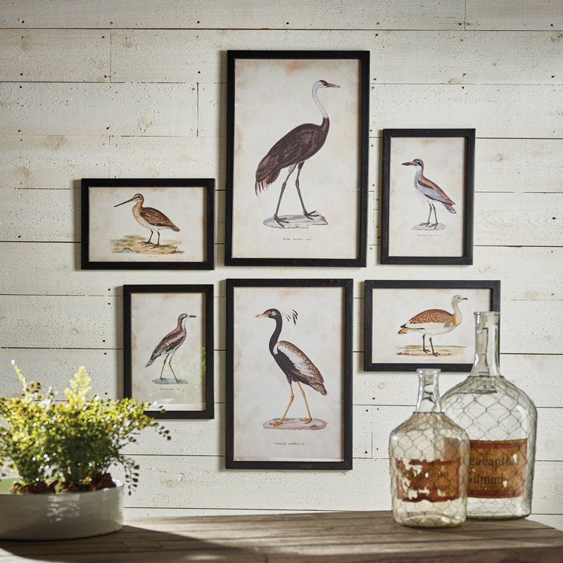 «Waterfowl Gallery», ensemble de 6 cadres photo