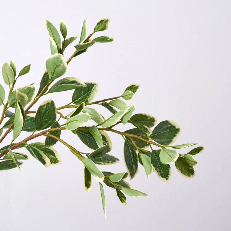 Branches japonaises dans un vase ovale moderne
