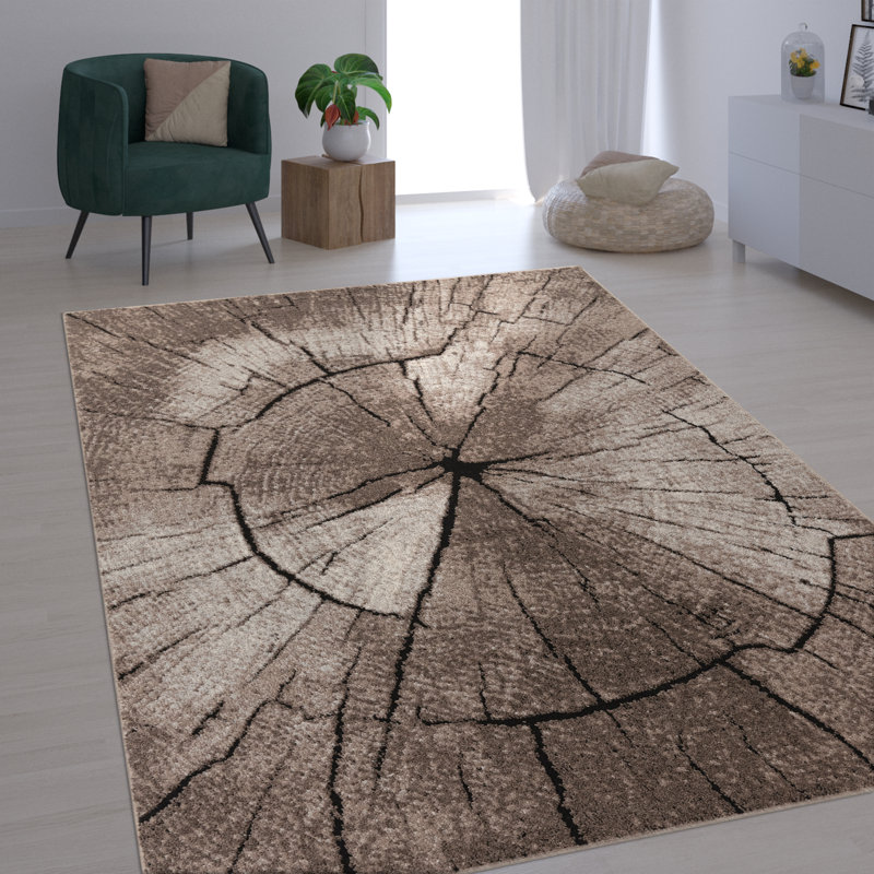 Tiphonnet Area Rug, Rectangle 240 x 340cm