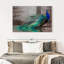 Élégant paon bleu sur toile-2034608565