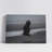 Eagle on a Beach-878052442