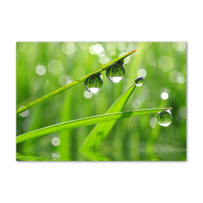 Drops on the grass 1 Piece Wall Art on Glass