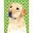 Labrador (crème) sélectionné