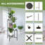 Plant Stand - Set of 5