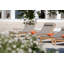 Capri Outdoor Teak Chaise Lounge