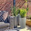 Plant Pot-795294480-788838800