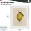 «Lemon Fruit Portrait», reproduction encadrée sous verre, conception de Danielle Murray-1564333144-1564333148