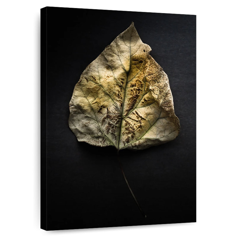 Feuilles couleur, H 51 po x l 34 po