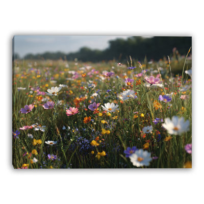 Sunlit Meadow Moments Wrapped Canvas Wall Art