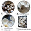 Reproduction sur toile White Dogwood-653134288-653134255