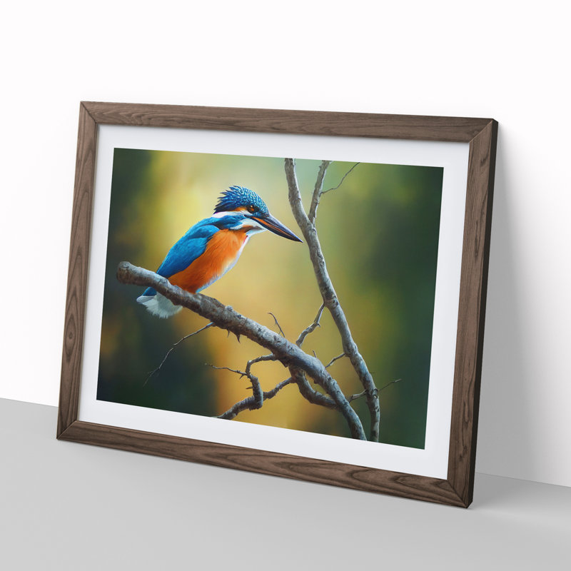 Cool Kingfisher Bird - Framed Print, 46cm H x 64cm W x 2cm D, Walnut