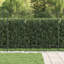 Powder-Coated Steel Fence Panels Included-124587392