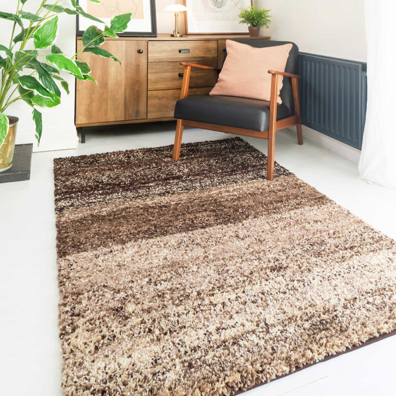 Digrazia Striped Shag Area Rug, Rectangle 160 x 230cm