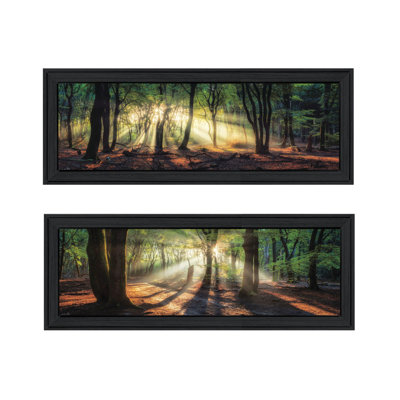 Millwood Pines ""Sun Rays In The Forest"" Framed Wall Art For Living Room, Wall Art Print For Home Decor, Bedroom Wall Art By Martin Podt -  D3AD64C5C1BC46308A6DD531CCBA5A8C