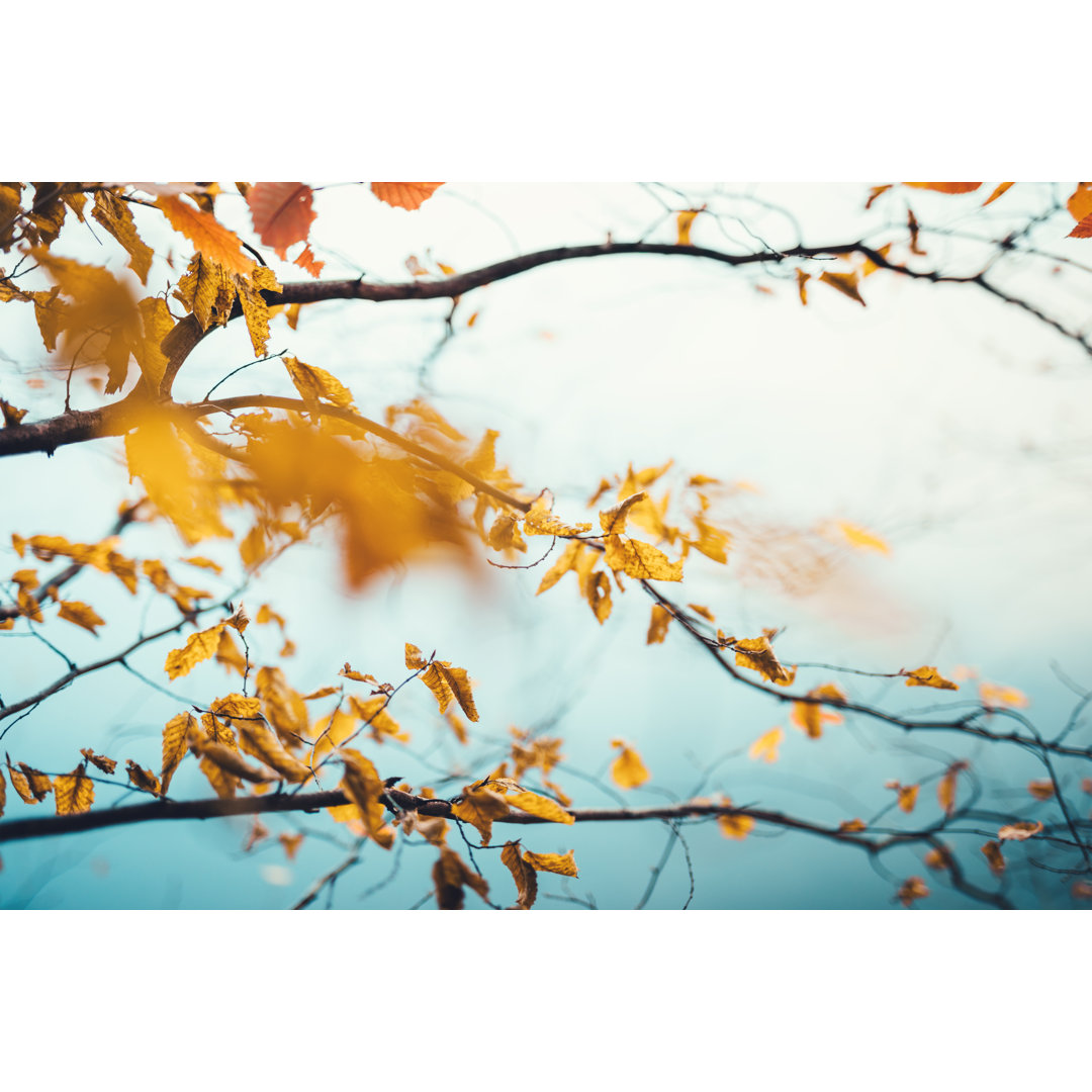 Golden Autumn Leaves von Borchee - Kunstdrucke auf Leinwand ohne Rahmen