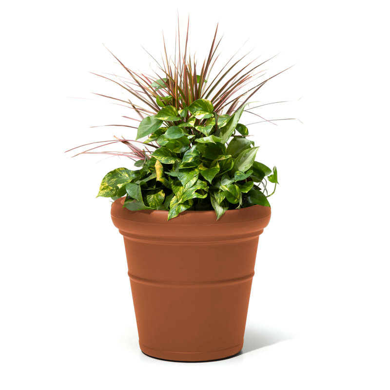 Pot Planter, Terracotta