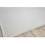 Gamma Area Rug in Ivory-88773271