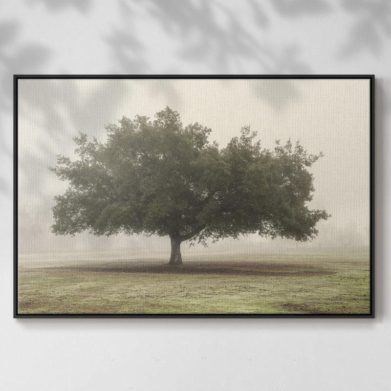 Arbres dans le brouillard II, H 17 po x l 25 po x P 2 po, Toile encadrée noire
